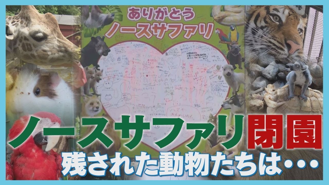 ノースサファリが閉園…20年の歴史に幕　課題は300頭超える動物たちの受け入れ先確保　現状を記者が解説