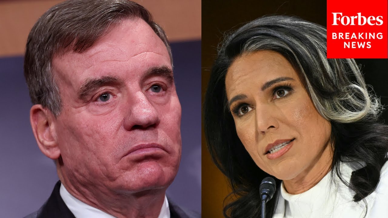 Mark Warner Slams Tulsi Gabbard For Delaying Release Of Internal Whistleblower Complaint By Months