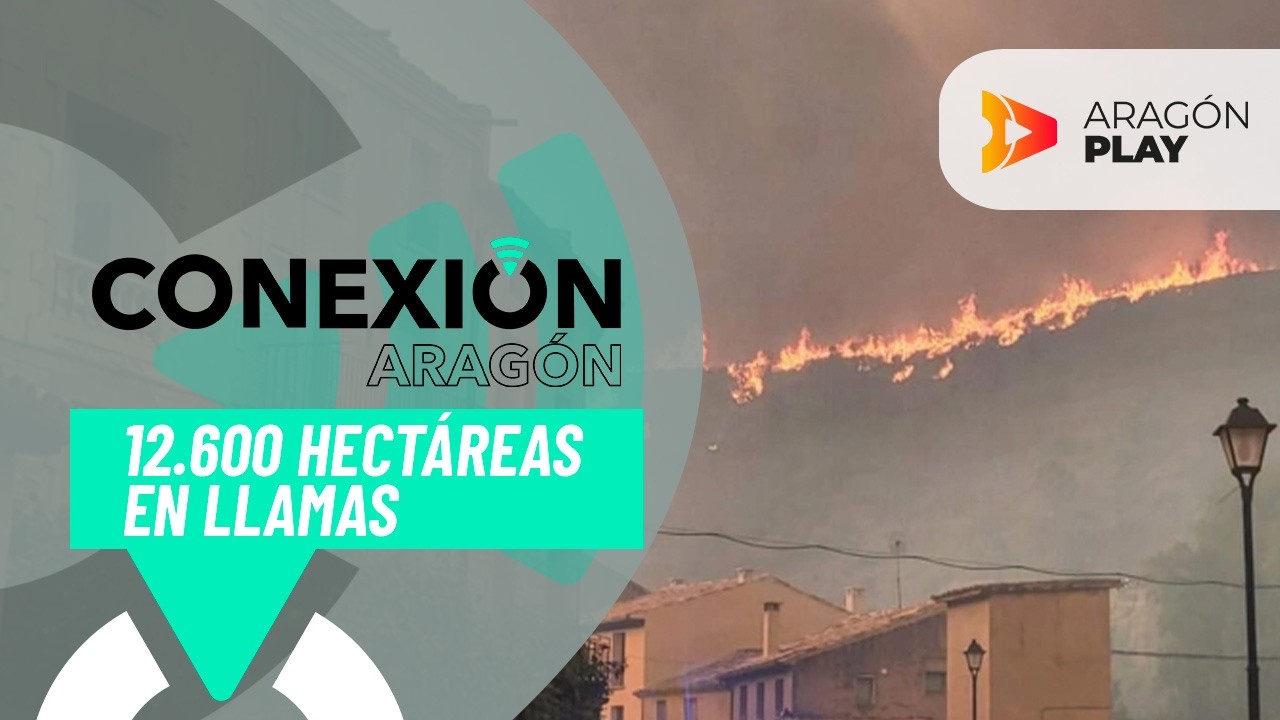 Cinco Villas wildfire has now scorched 12,600 hectares