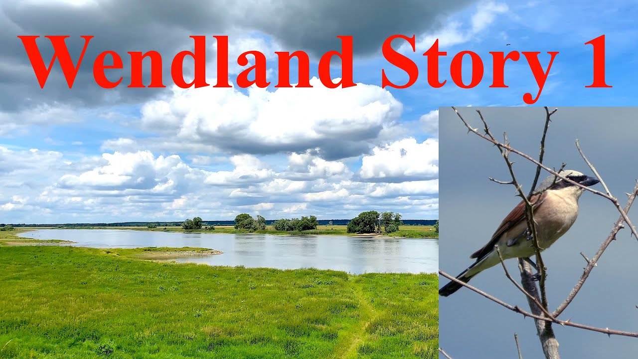 Wendland Story I