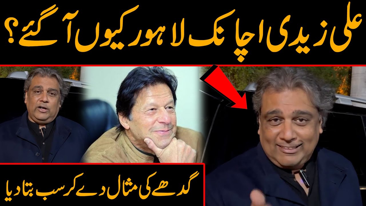 علی زیدی اچانک لاہور کیوں آگئے؟ گدھے کی مثال دے کر سب بتا دیا