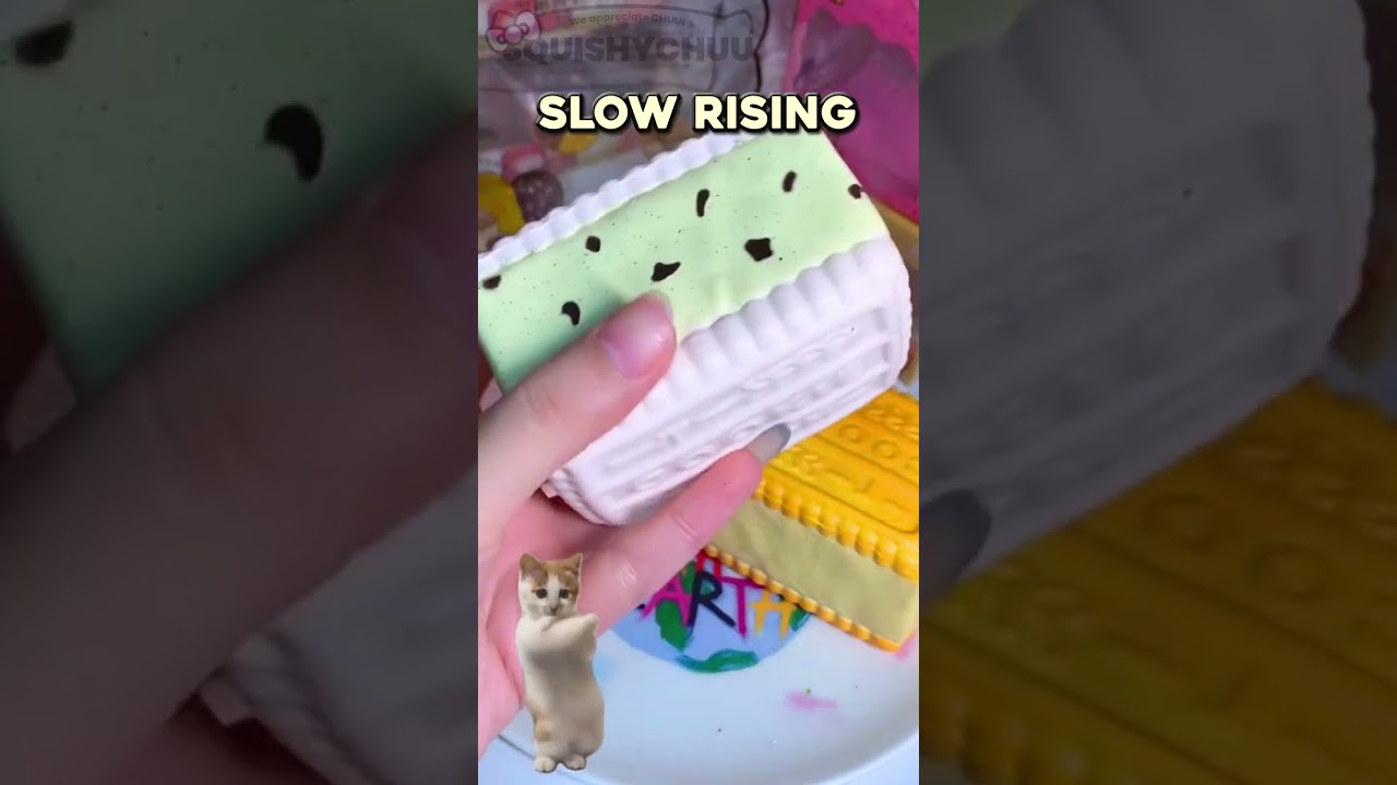 Taba or Slow Rising Biscuit? 💕 SQUISHYCHUU.COM