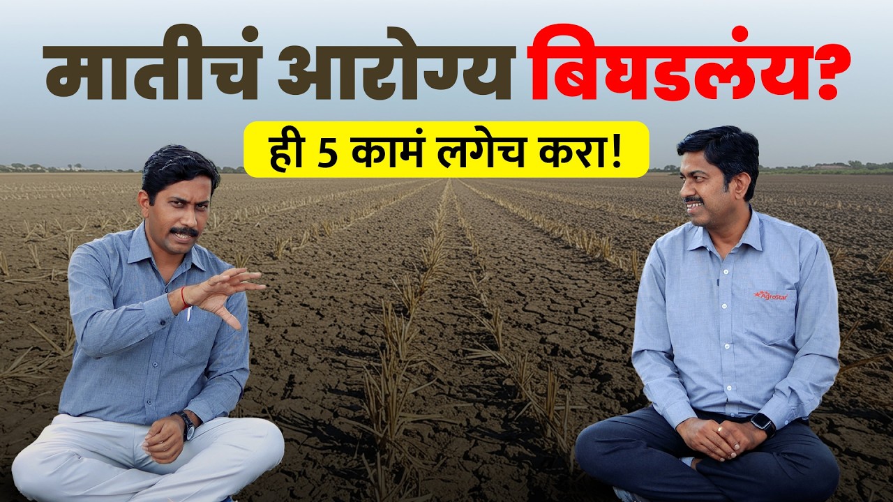 नापीक जमिनीला सुपीक बनवा ⚠️ माती सुधारणा नसेल तर नुकसानच नुकसान! | Soil Testing | #AgroStar
