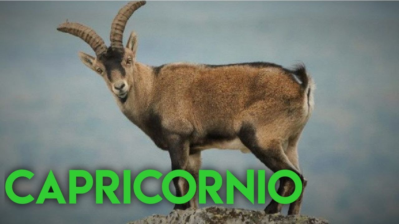 CAPRICORNIO | Los signos del zodíaco y su carácter - Linda Goodman