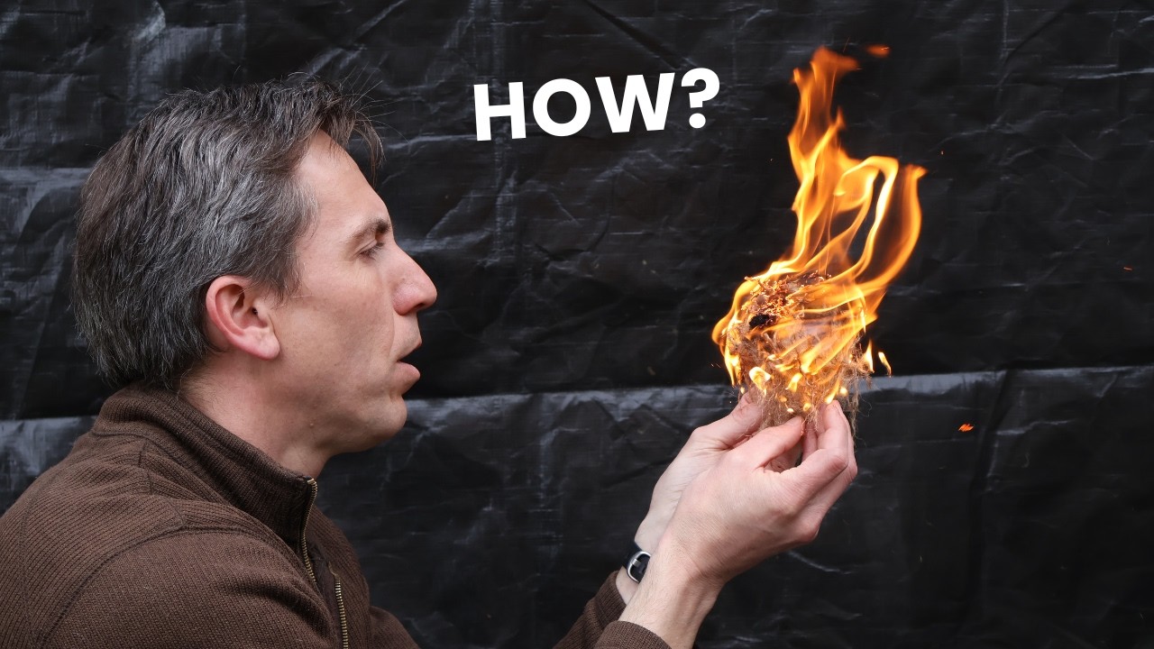 How Humans Tamed Fire