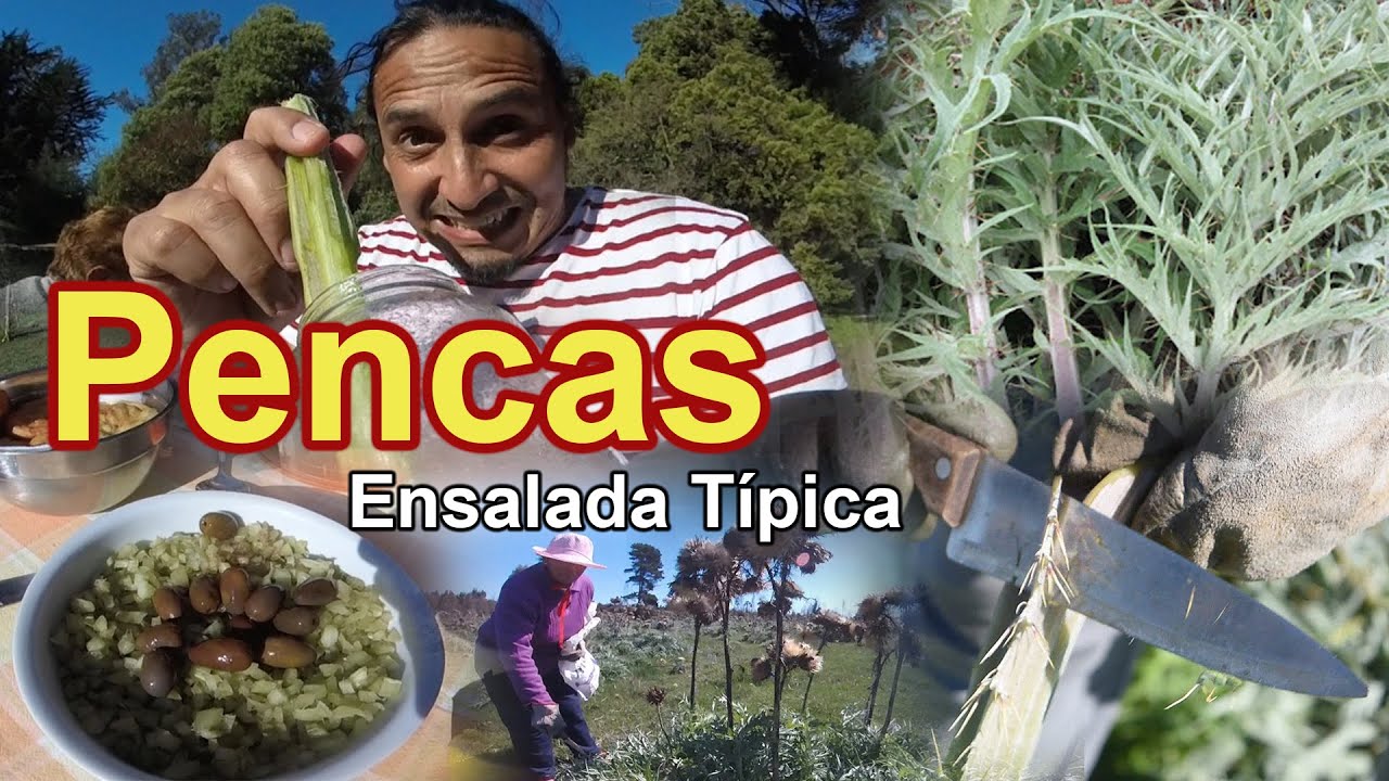 PENCAS CON VINAGREEE!!!:cortando y comiendo pencas