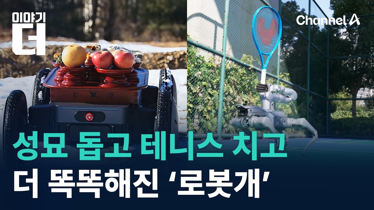 성묘 돕고 테니스 치고…더 똑똑해진 ‘로봇개’ / 채널A / 이야기 더