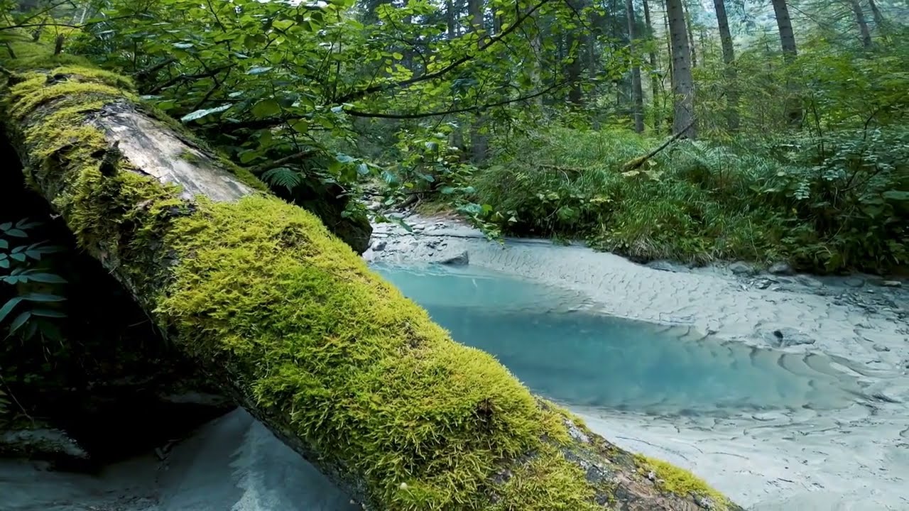 Guitar Music Nature Scenes