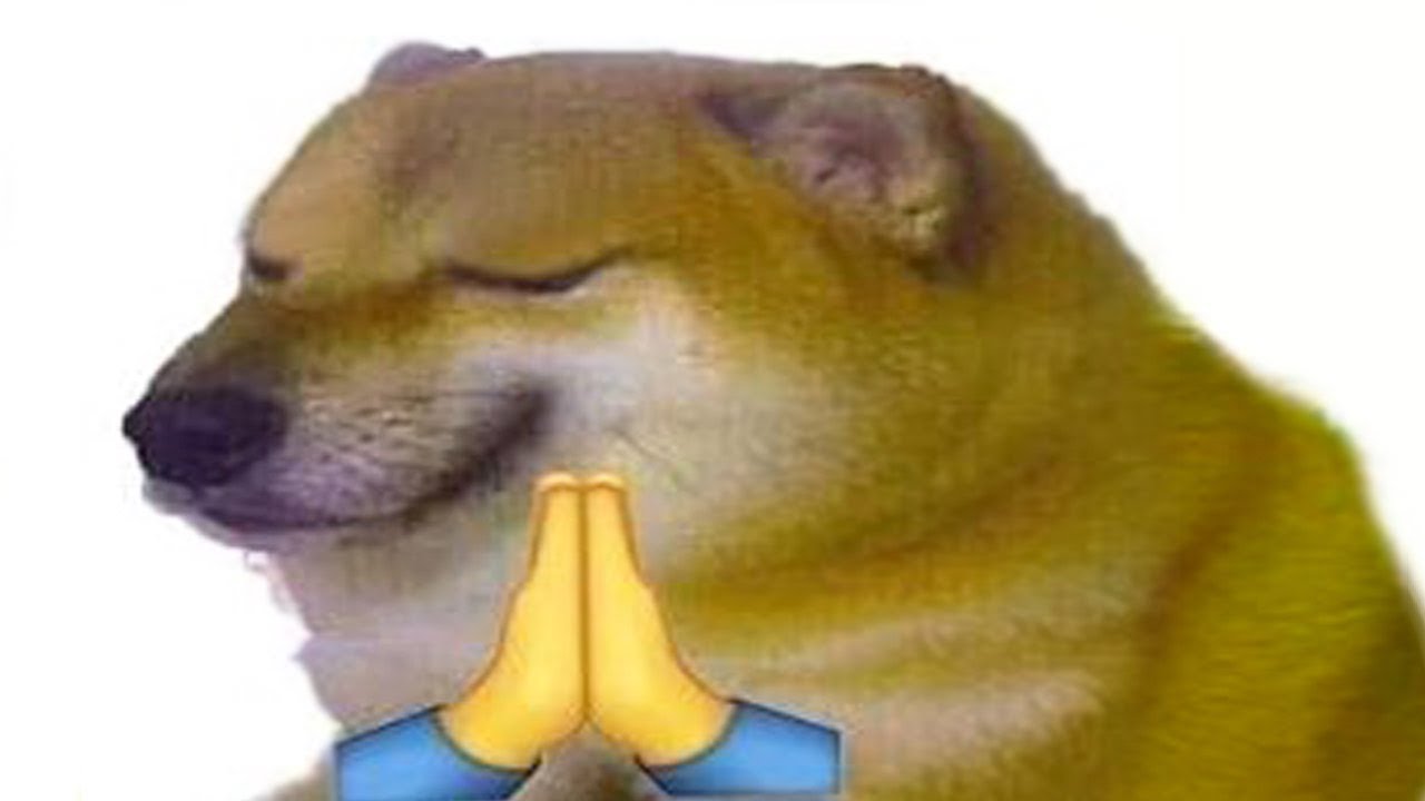 memes que me hicieron el día xdd