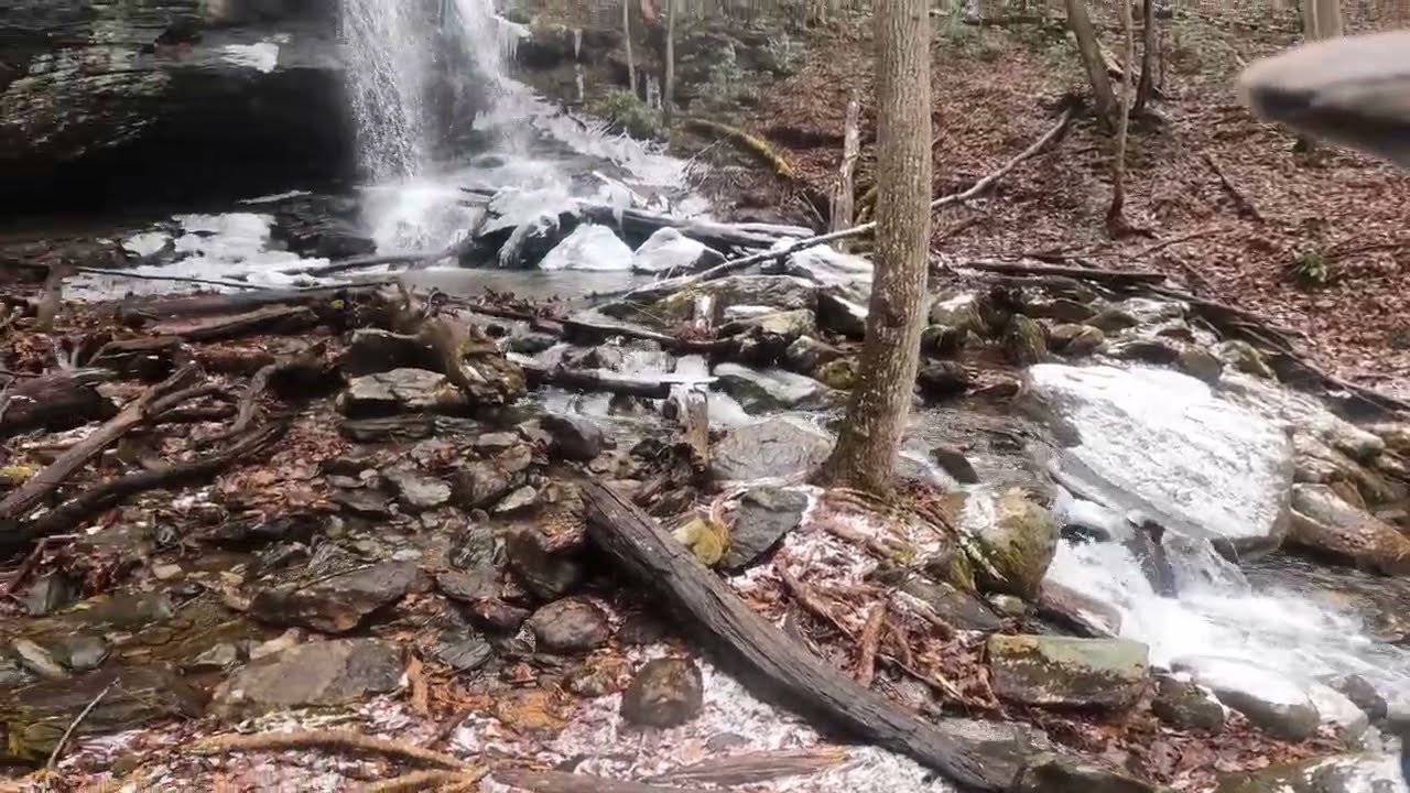 Hike to Denton Creek Falls