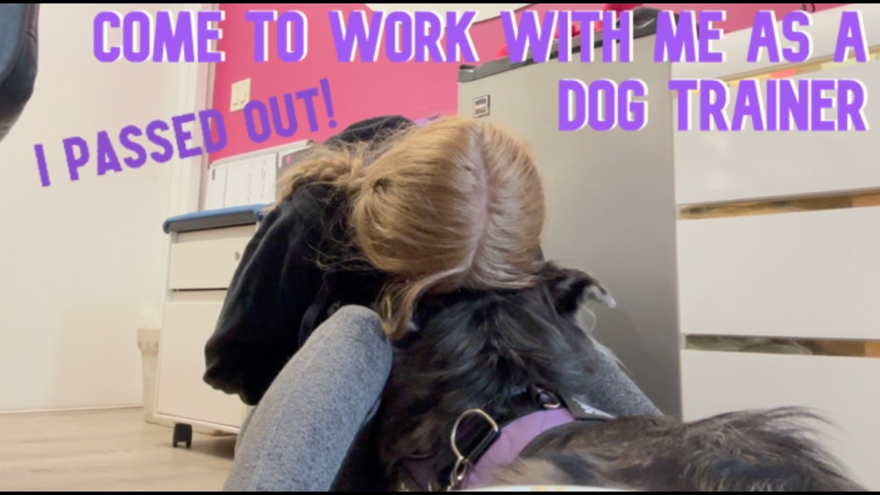 A day in the life as a disabled dog trainer ( I PASSED OUT! )