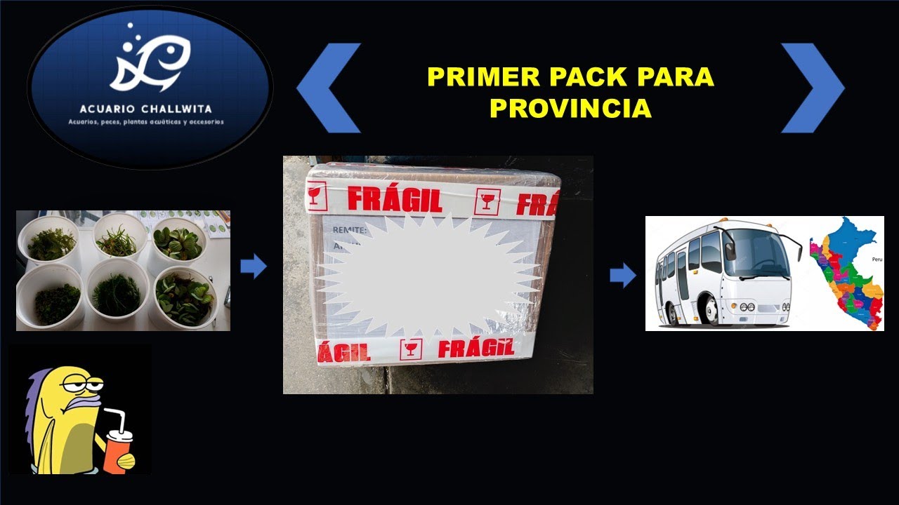 PACK DE PLANTAS SE VA A PROVINCIA 🌱🌱🌱🌱🚛🚛🚛 - ACUARIO CHALLWITA