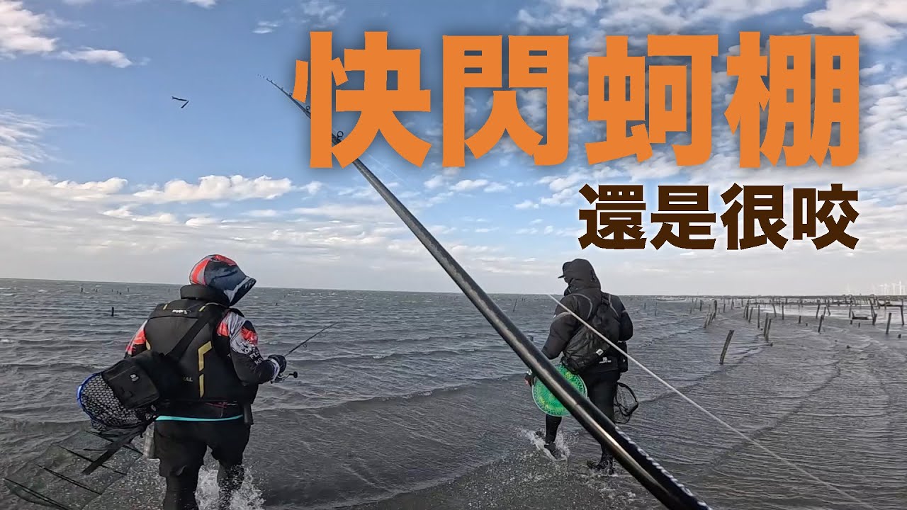 搞搞鯛～風很大，還是得陪剛入坑的小兄弟們走走...#LOONGZE #瀧澤B101 #黑牛 #黑格 #黃鰭鯛 #穿針軟餌 #自由釣組 #波動小蝦 #南瓜綠嘎嘎咬