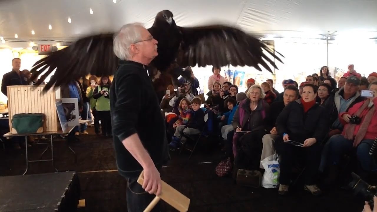 Eaglefest