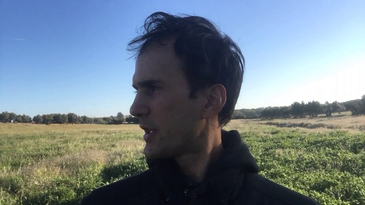 Agroforestry Project in Alentejo, Portugal | FOOD FOREST | ALLEY CROPING | AGROFORESTRY PRACTICES
