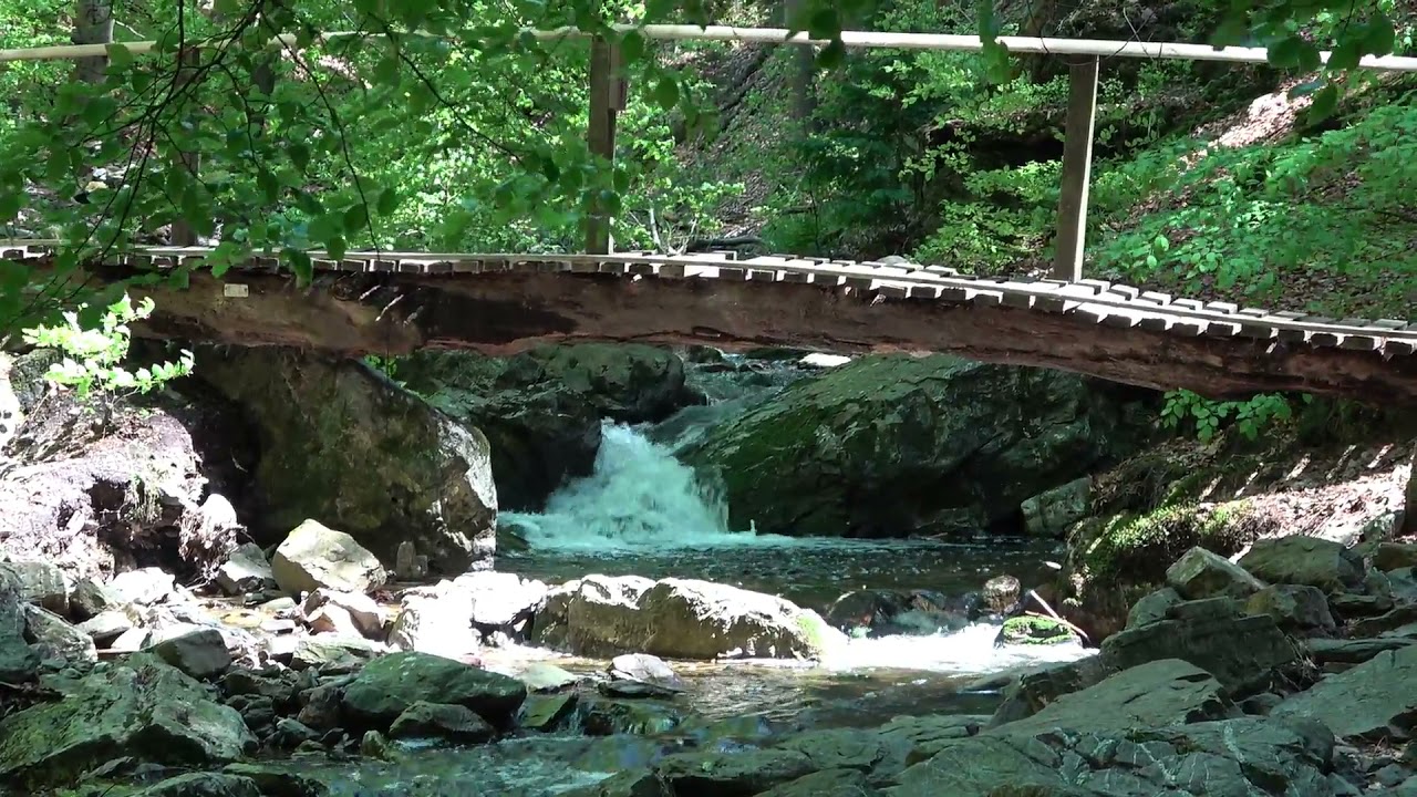 La Statte et la Sawe Solwast + Cascades des Nutons + Point de vue du Rocher de la Bilisse