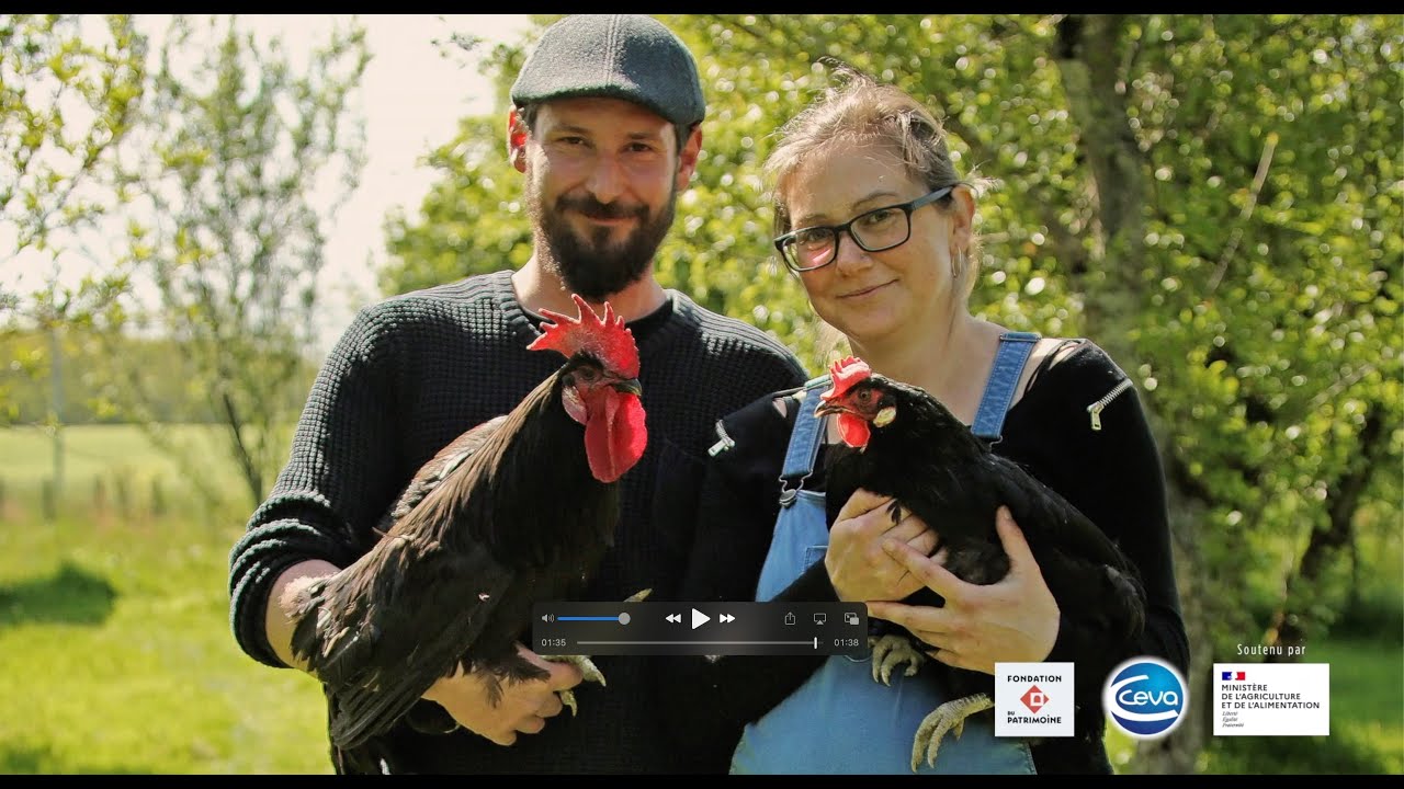 1er prix de l'agro-biodiversité la Gauloise noire (Sous titrage FR)