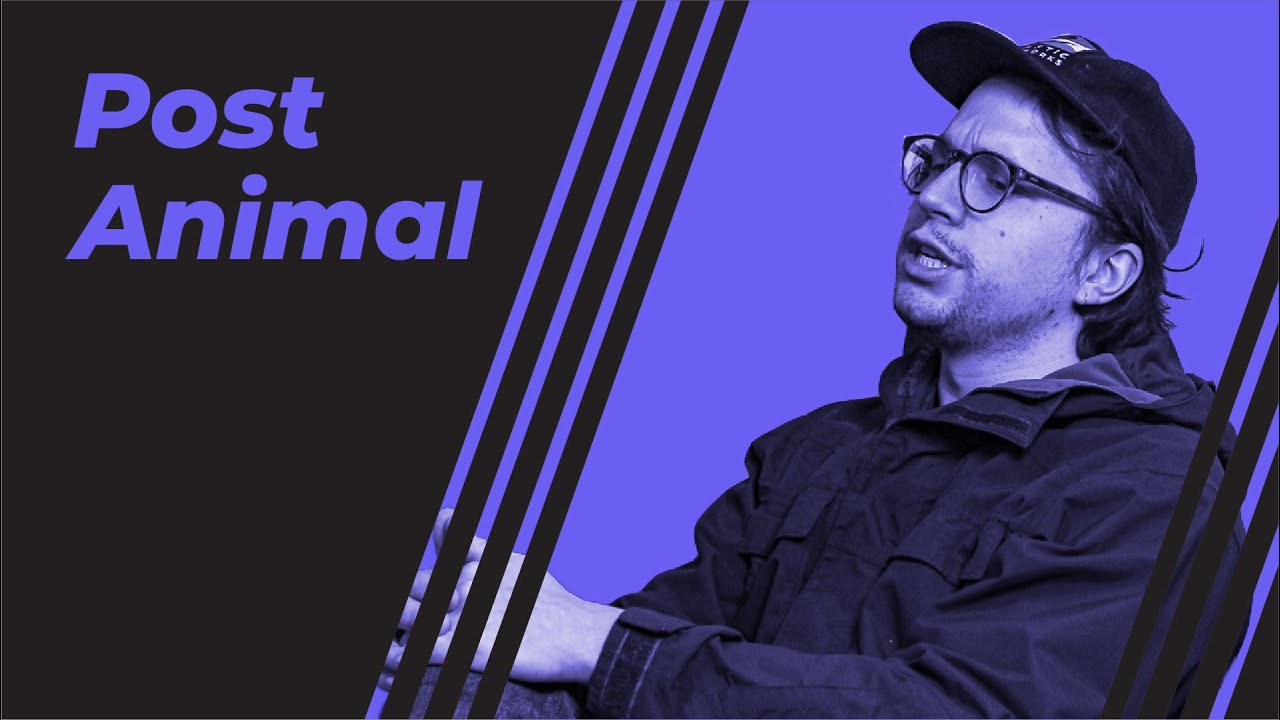 Post Animal discuss new album 'Forward Motion Godyssey'