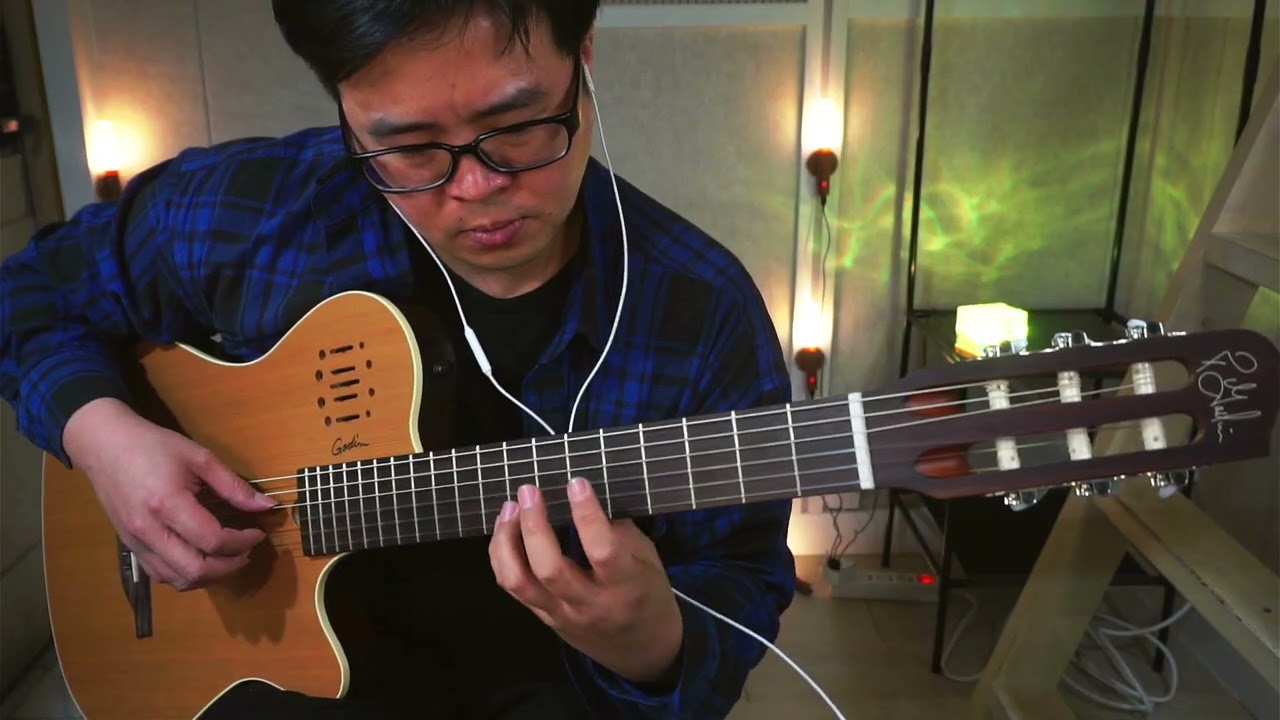 위대한 기타리스틑 따라 하고 싶었습니당 ┃ Martin Taylor - True (cover)
