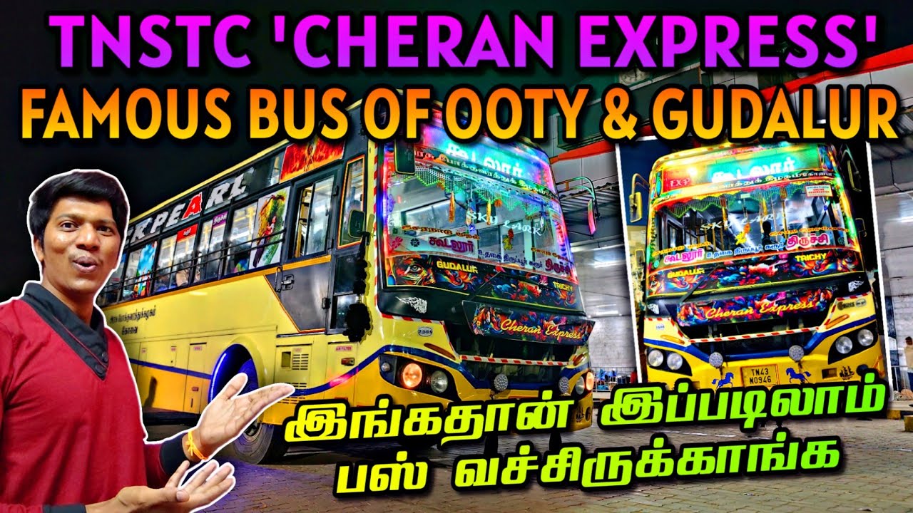 😍TNSTC HILLS BEAUTY 'CHERAN EXPRESS' BUS TRAVEL VLOG!!! TRICHY-OOTY-GUDALUR | Naveen Kumar