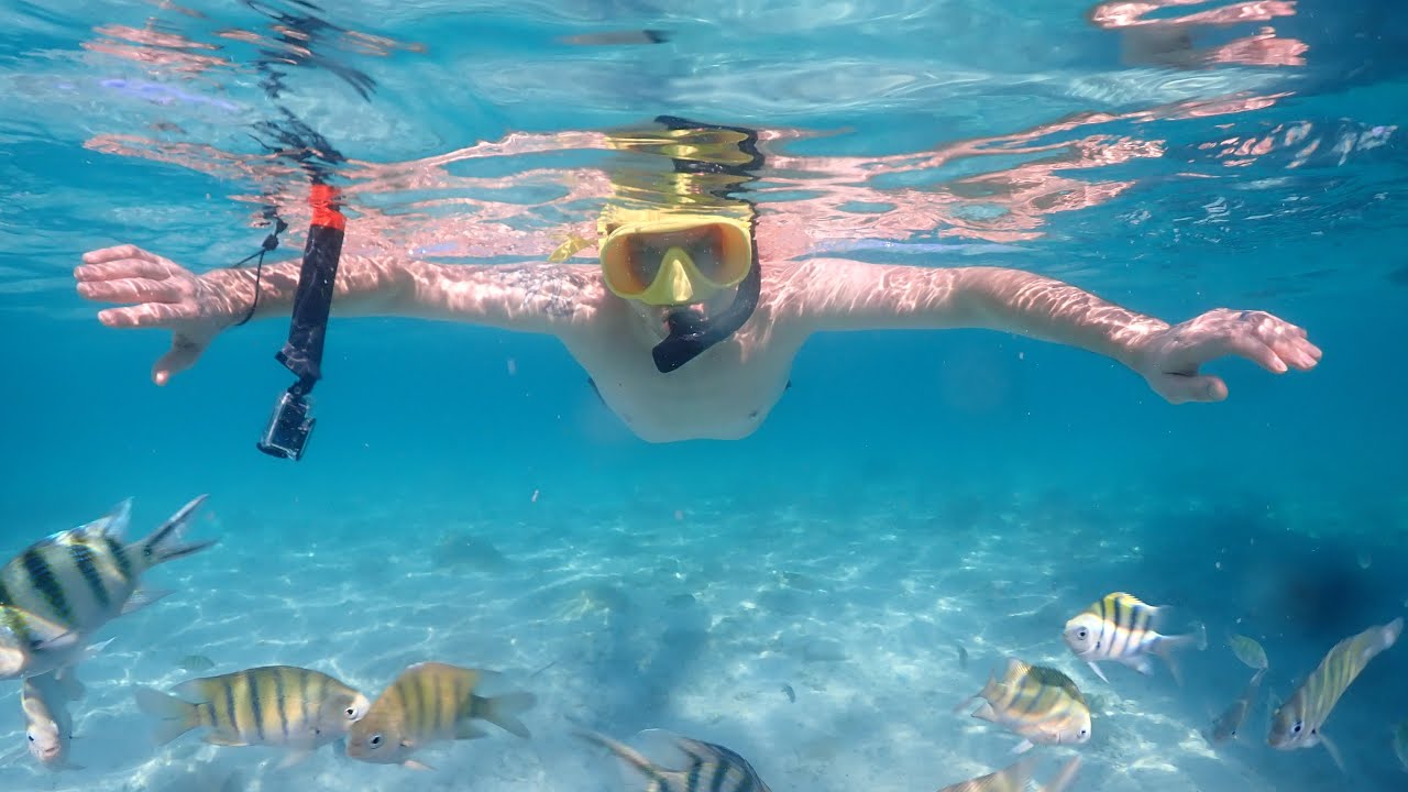 Boot- und Schnorcheltour Satahip Thailand #tauchen #thailand #nature #beautiful #nemo #sea #amazing 