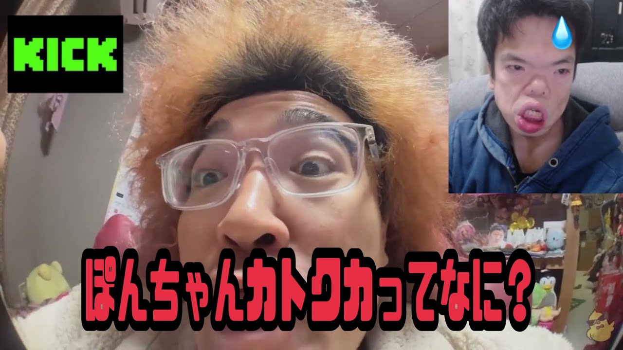 野田草履　ぽんちゃんカトクカってなに？　2026年02月09日放送