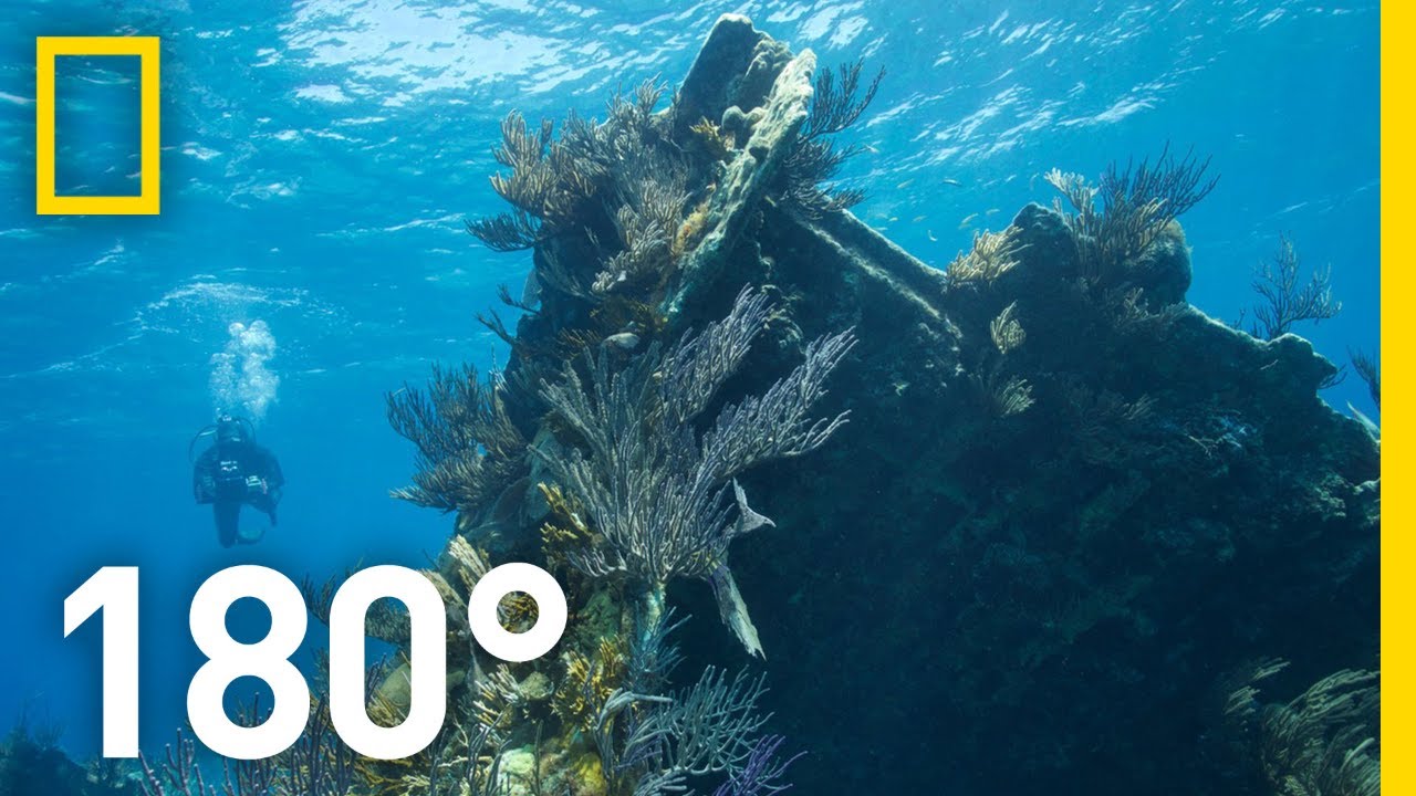 Underwater on Bermuda&rsquo;s Montana Shipwreck &ndash; 180 | National Geographic