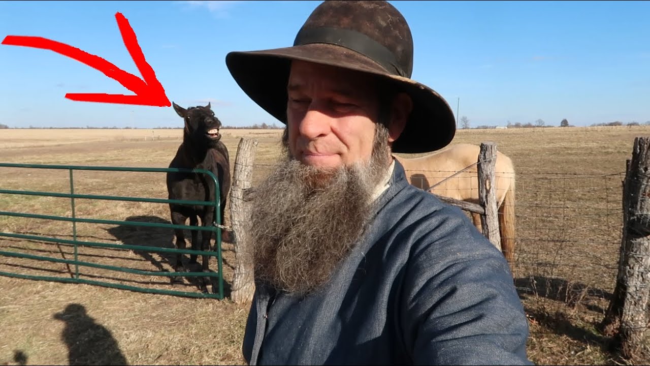 ROOT CELLAR flooding and Crazy Horse / OFF GRID