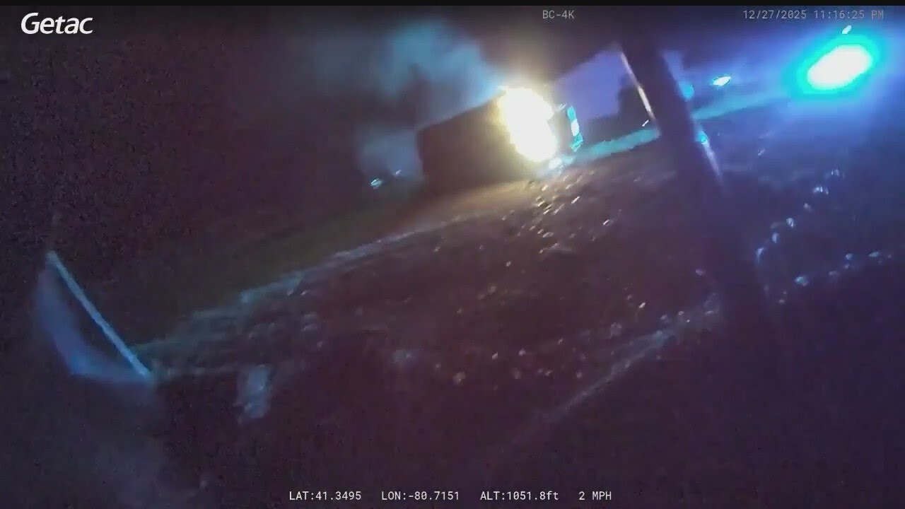 WATCH: Local police officers help save driver from car fire
