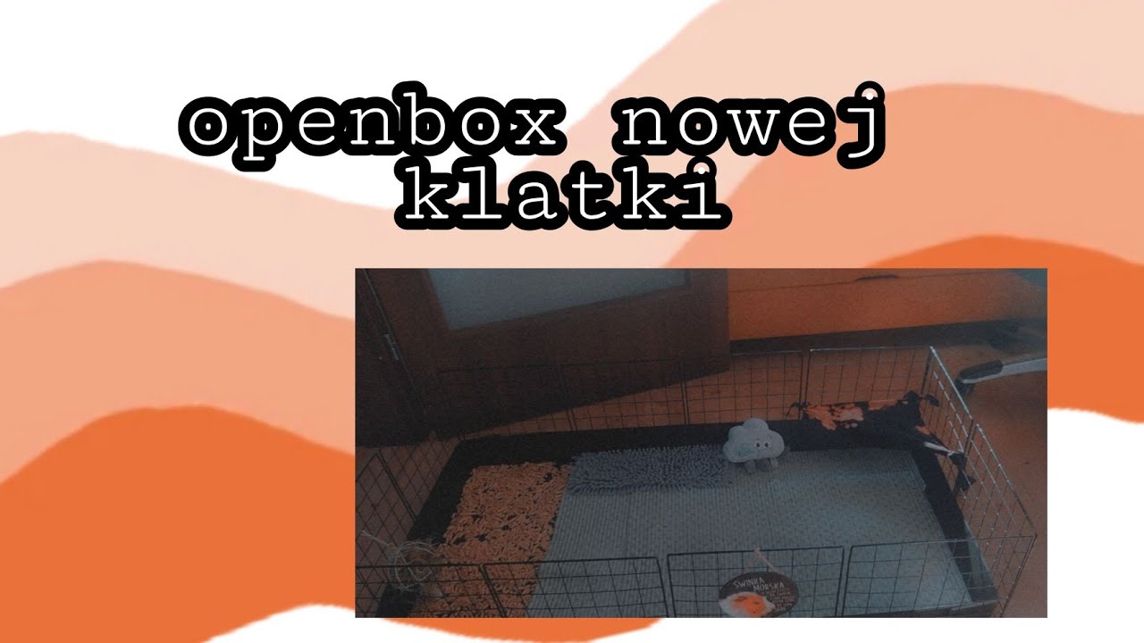 Openbox nowej klatki modułowej!!!