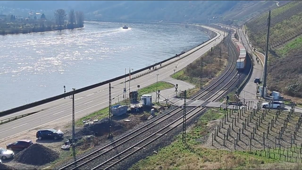 Railpool mit Containerzug am Bopparder Hamm 🏞 #mittelrhein #trainspotting #güterzug #rhineriver 