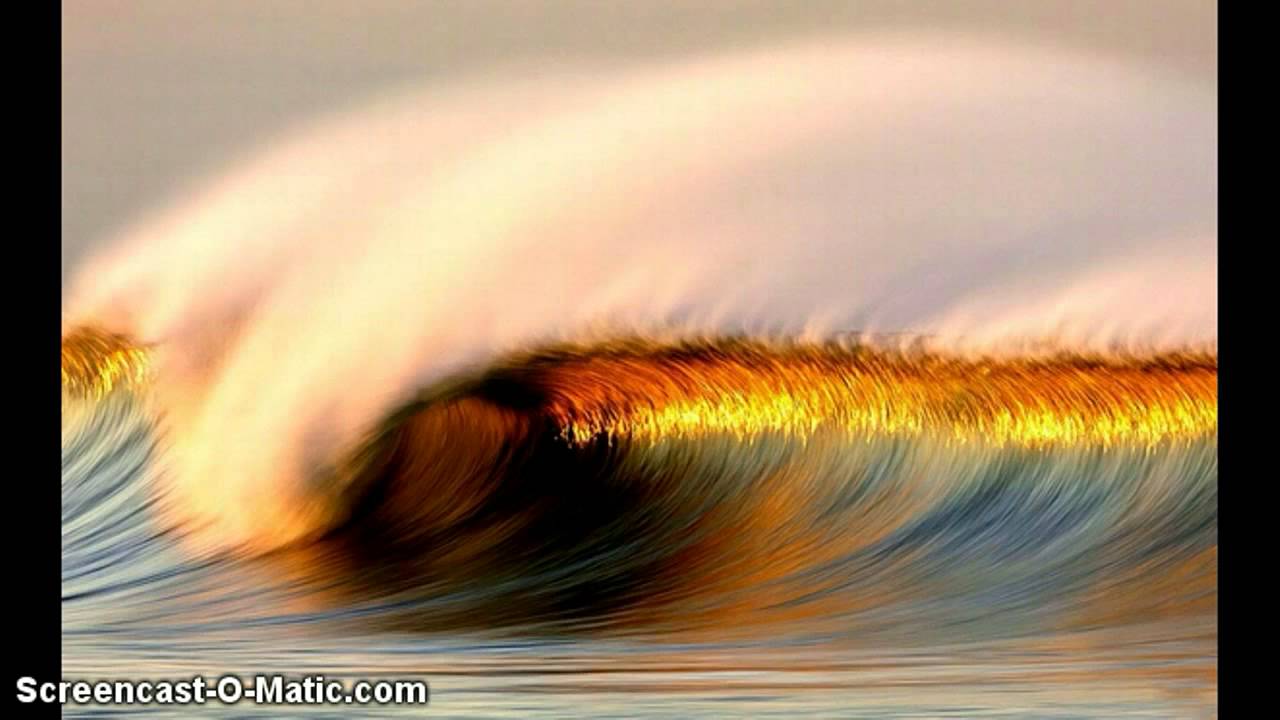 Shea Samuel: Wave