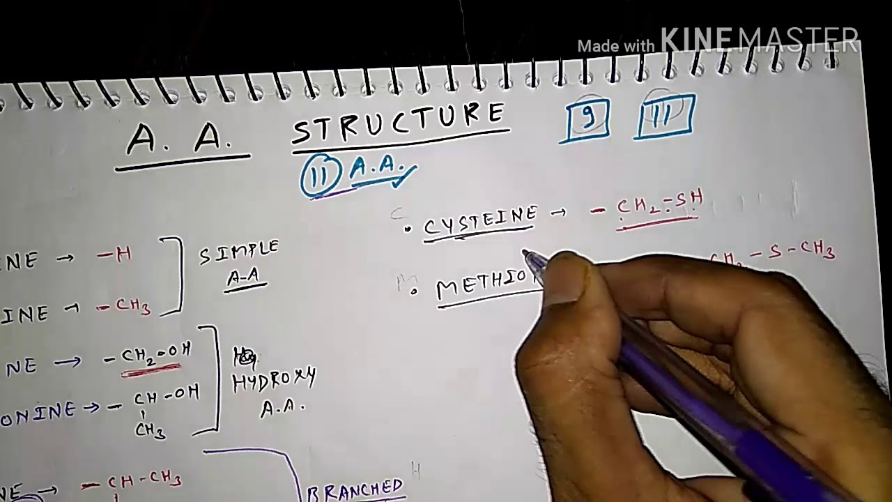 How to Remember Amino Acid Structure- 2 | TCML and ENMEDER