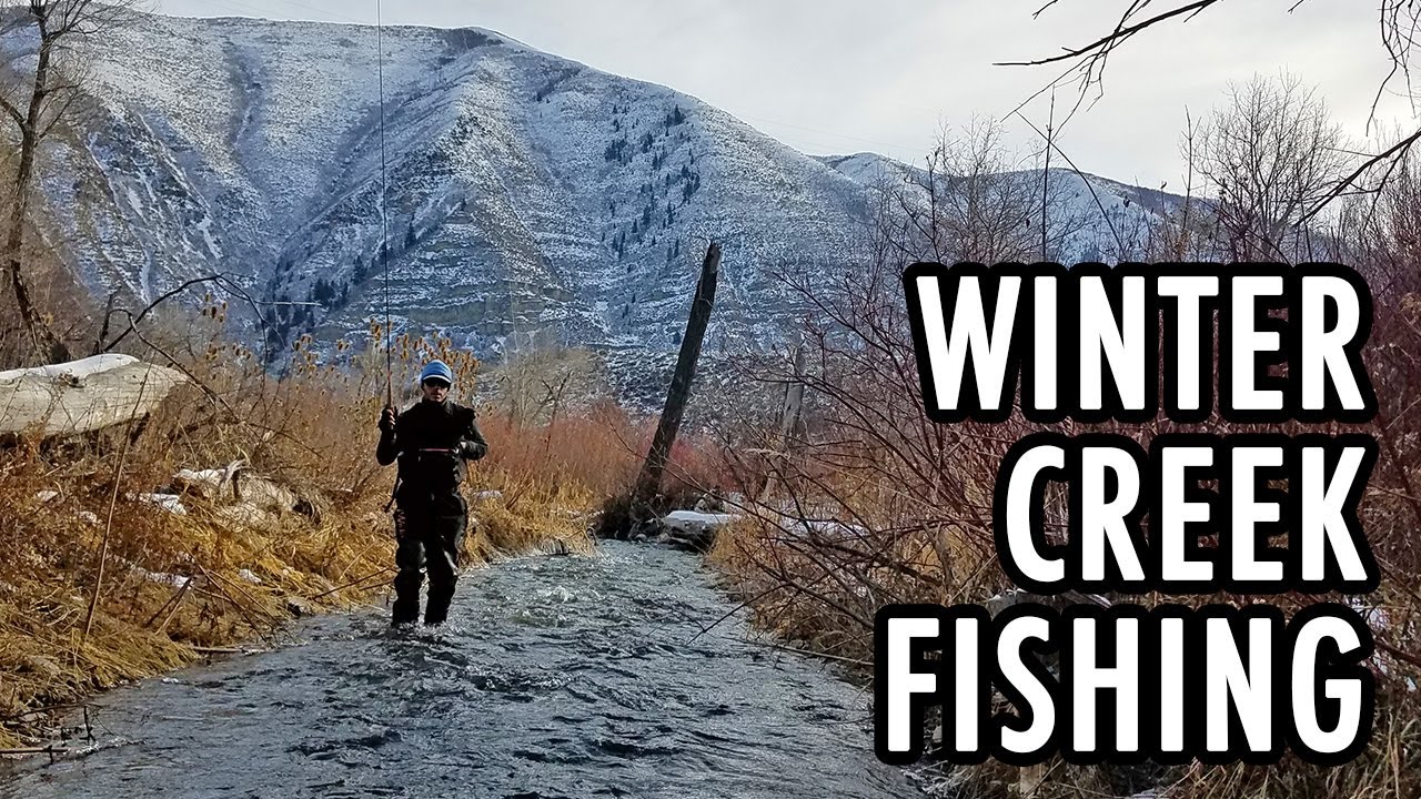 Winter Creek Fishing (Tenkara Fly Fishing)
