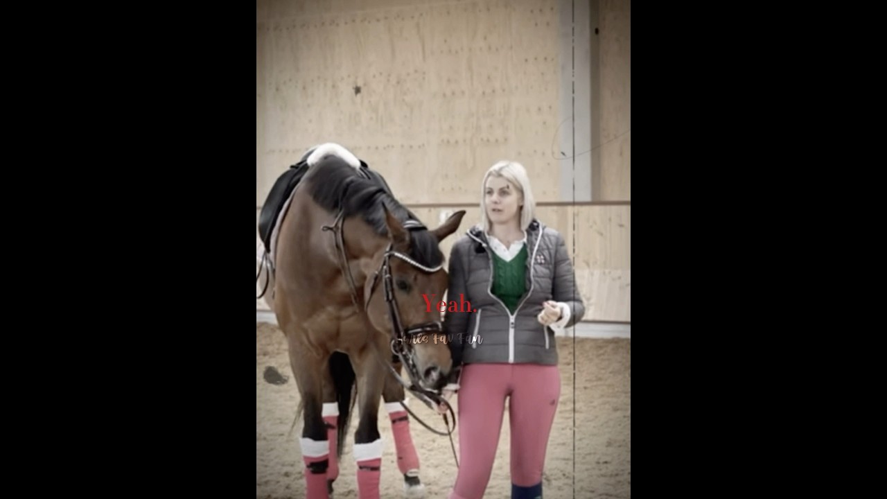 Gonna get hate&hellip; what do u think? 💔 #horse #abuse #harlow #viral #blowup #like #follow #3k #sad