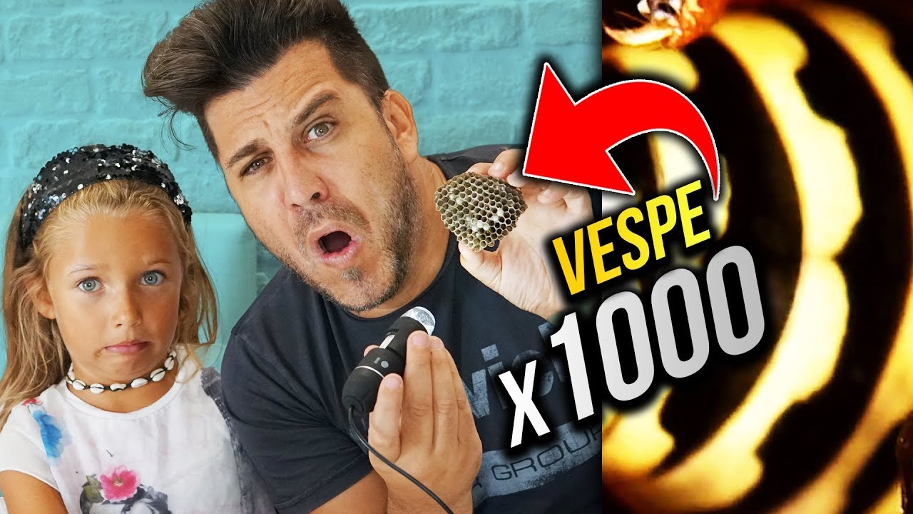 OSSERVANDO LE VESPE AL MICROSCOPIO x1000 - VESPA IMPAZZITA 😱