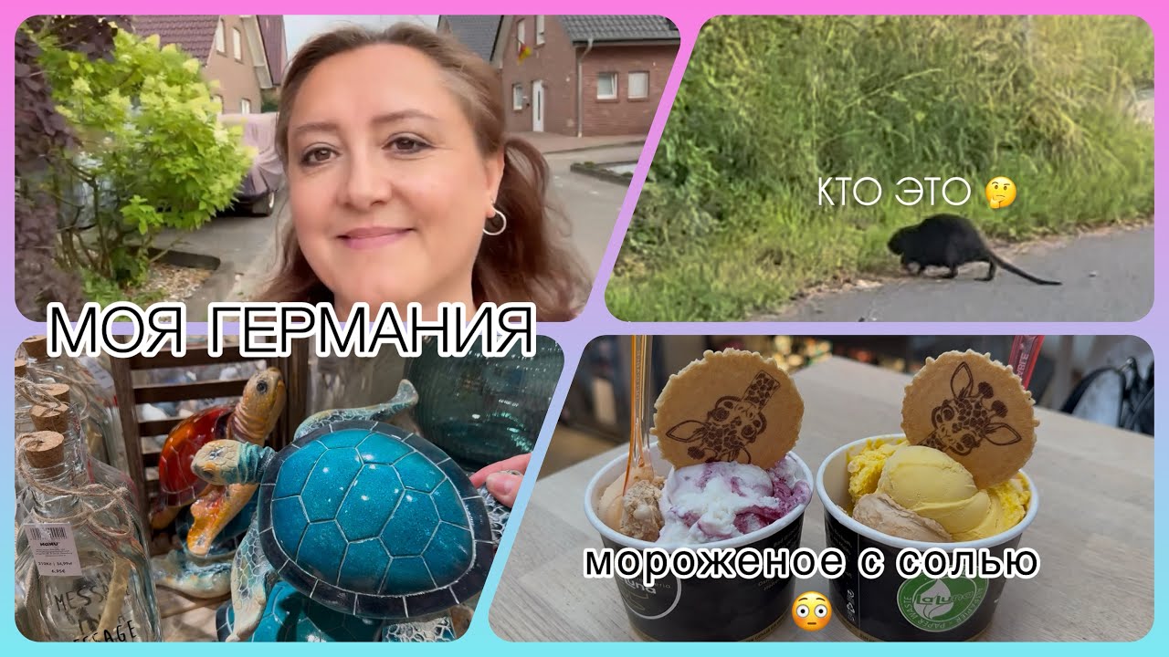 снова дома в родном Rheine/ зоопарк по пути на работу🤗/ выходные, шарманщик и солёное мороженое