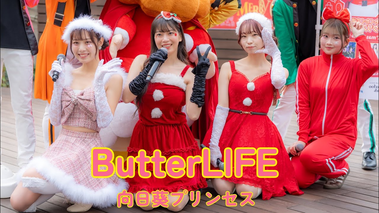 20251220 ButterLIFE/向日葵プリンセス