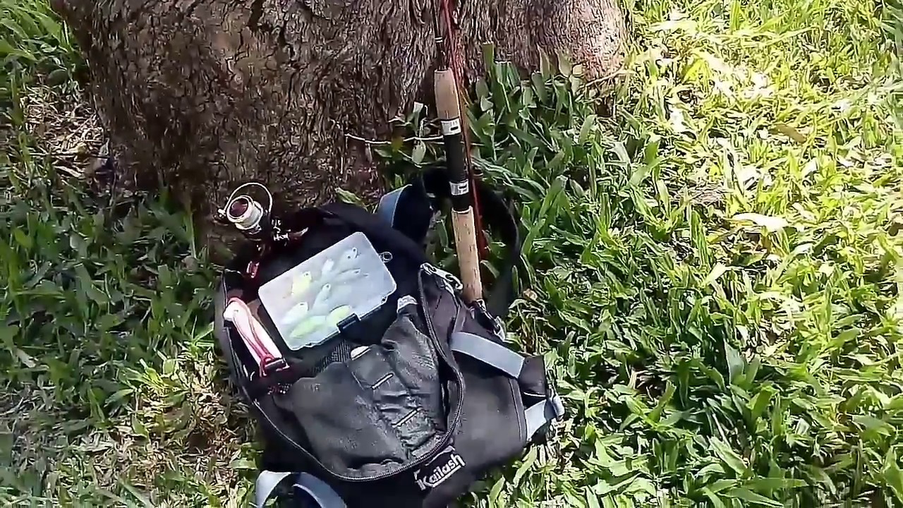 Pesca Ultralight 