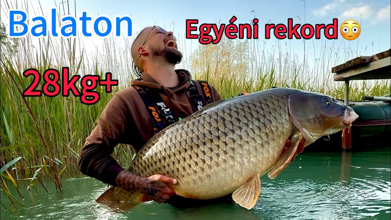 Balatoni egyéni ponty rekord‼️🔥28kg🔥
