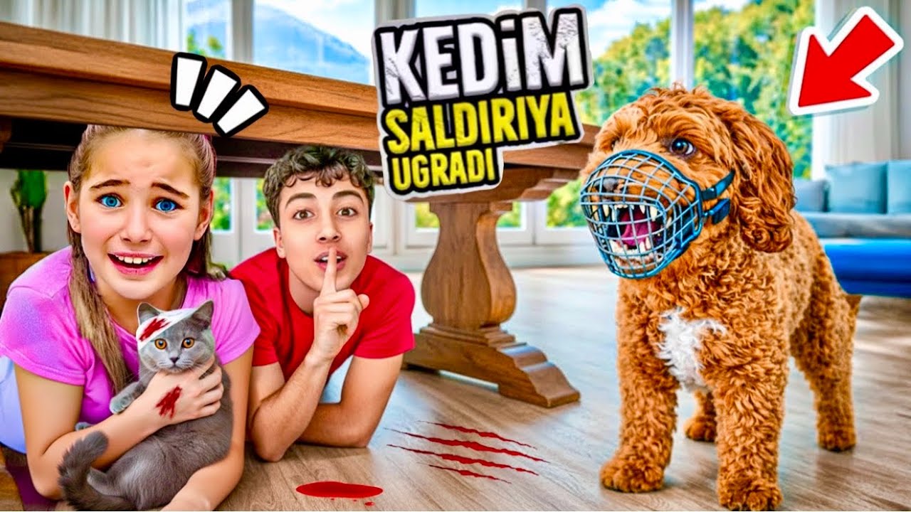 ELİF BÜCÜR KÖPEK SALDIRISINA UĞRADI ‼️