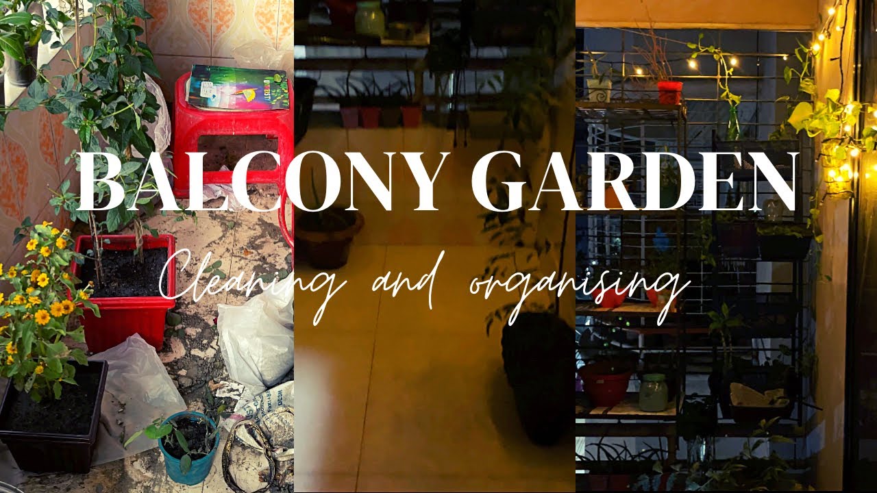 How to keep your balcony garden clean and organised