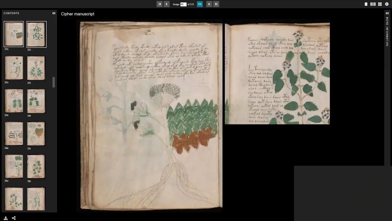Voynich manuscript. Education 2026