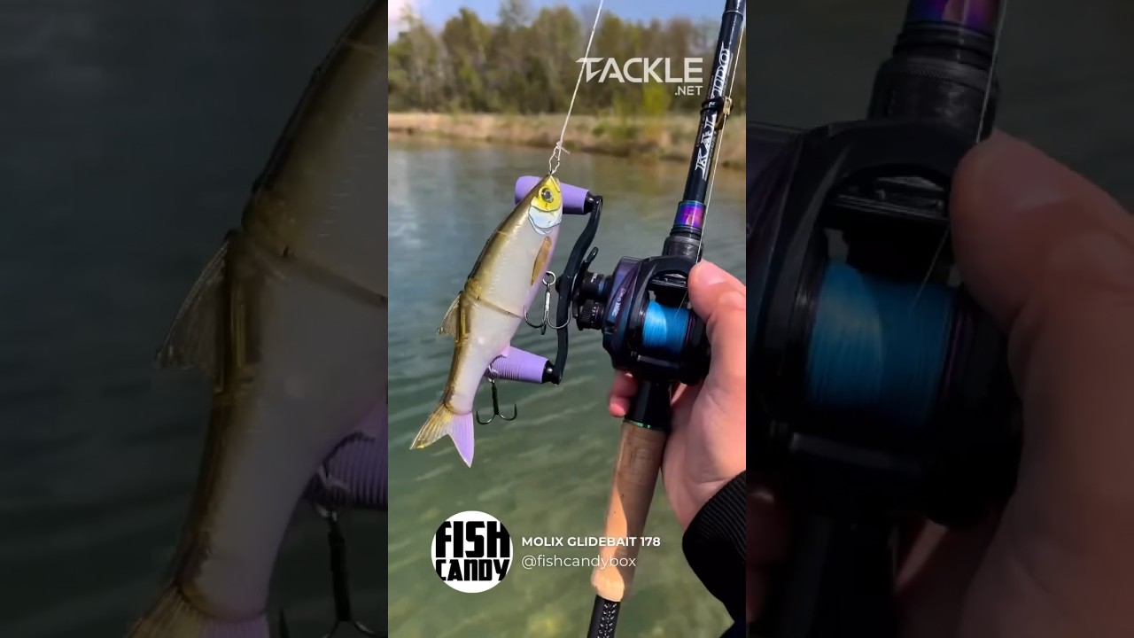 Molix Glidebait 178🔥🎣 #fishbait #fishing #bait #fish #baitmaker #bassfishing #baitfinesse