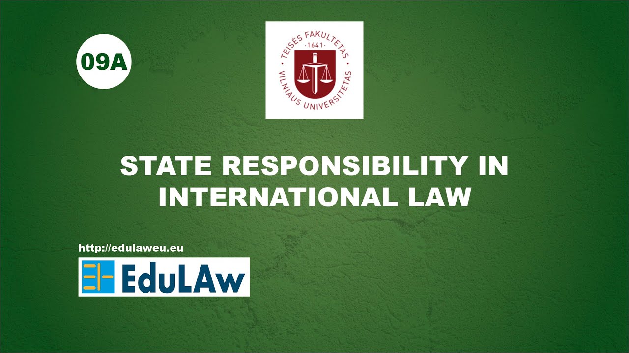 State Responsibility in International Law