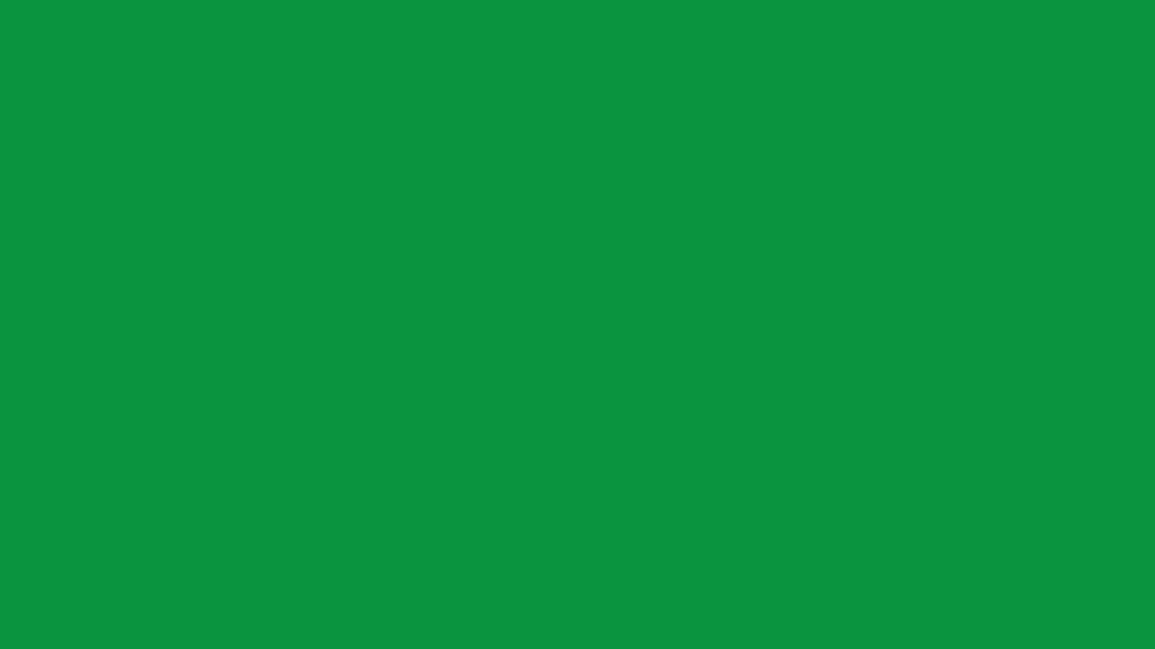 8 Hours of Spanish Green #009150 0,145,80