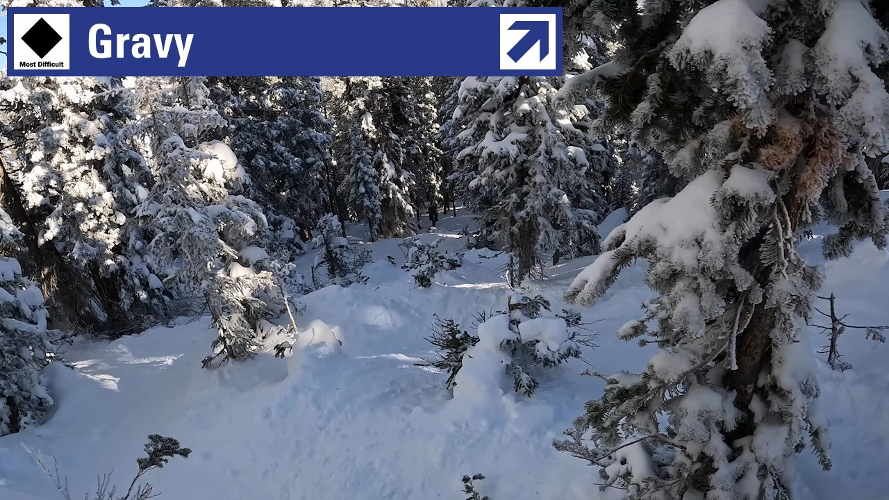 Steamboat, CO - ◊ Gravy 🌲 (1-3-26) [4K]