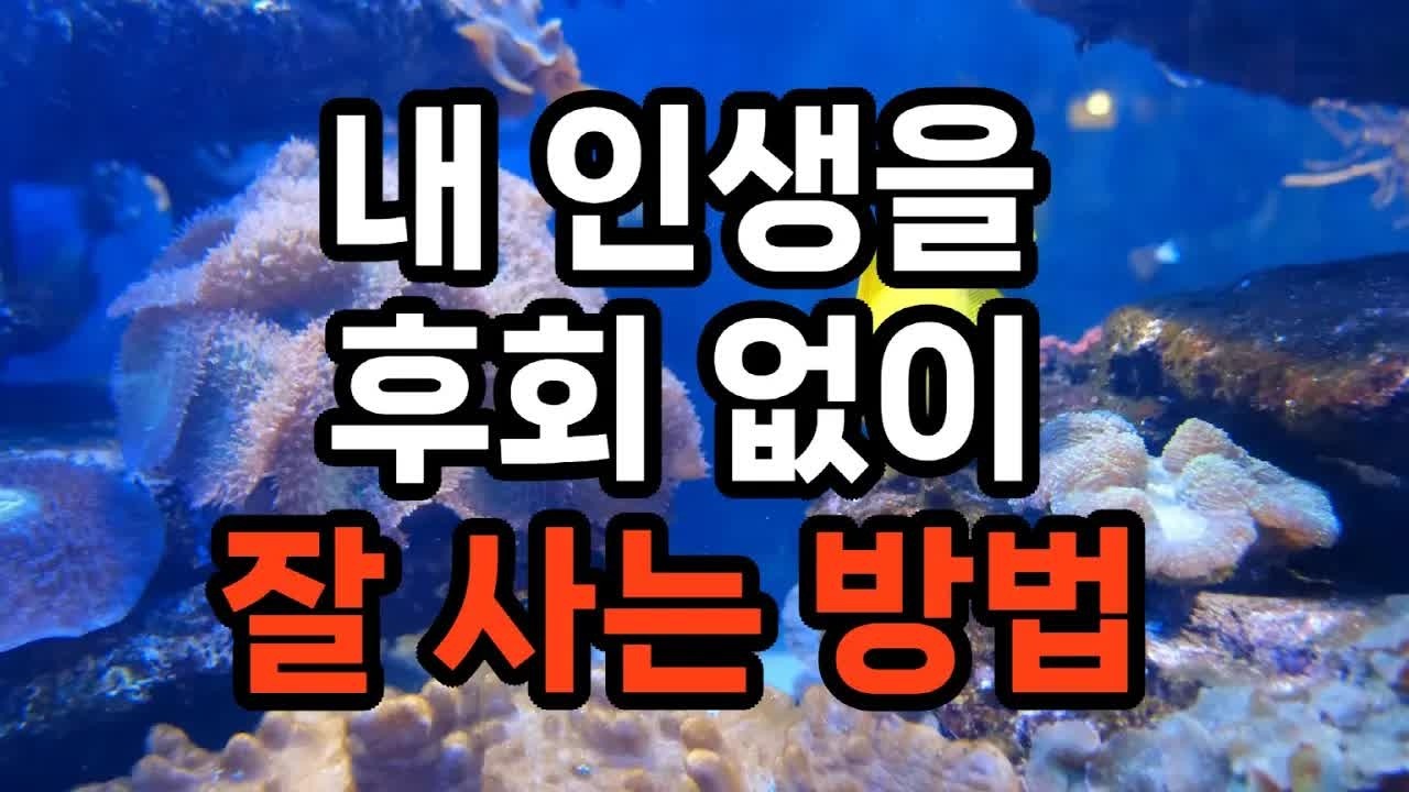 내 인생을 후회 없이 잘 사는 방법 7가지 #자기계발 #삶의지혜 #인생조언