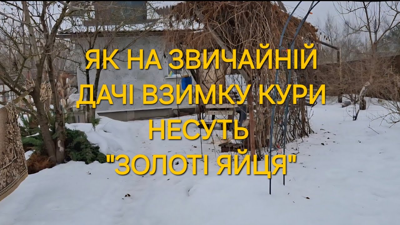 ДАЧА.  ЩО ПОТРІБНО ВСТИГНУТИ ЗРОБИТИ НА ДАЧІ ПОКИ СНІГ НЕ ПОТАНУВ!/ ЩЕ ОДИН РЕЙД У ПРИРОДУ!!!