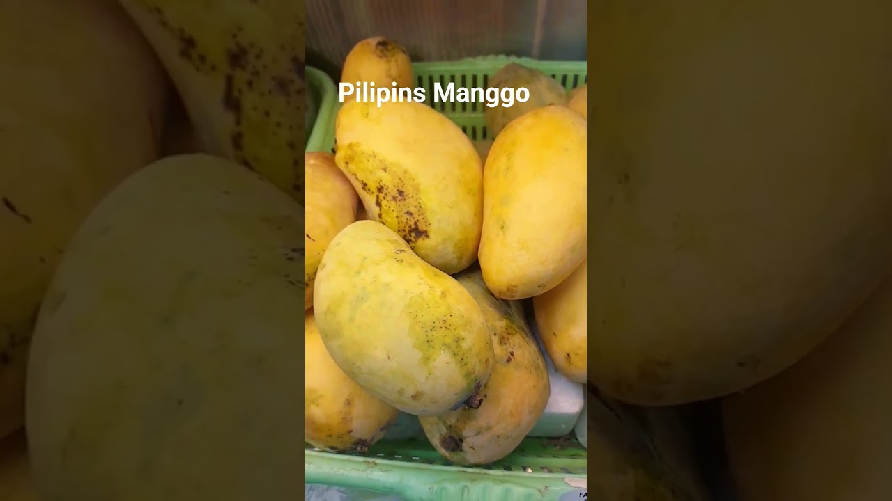 Manga #manga #philippines #manga #shortvideo